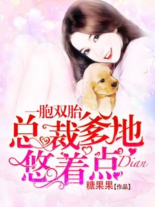 一胞雙胎:總裁爹地悠着點