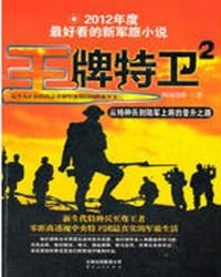 王牌特衞2